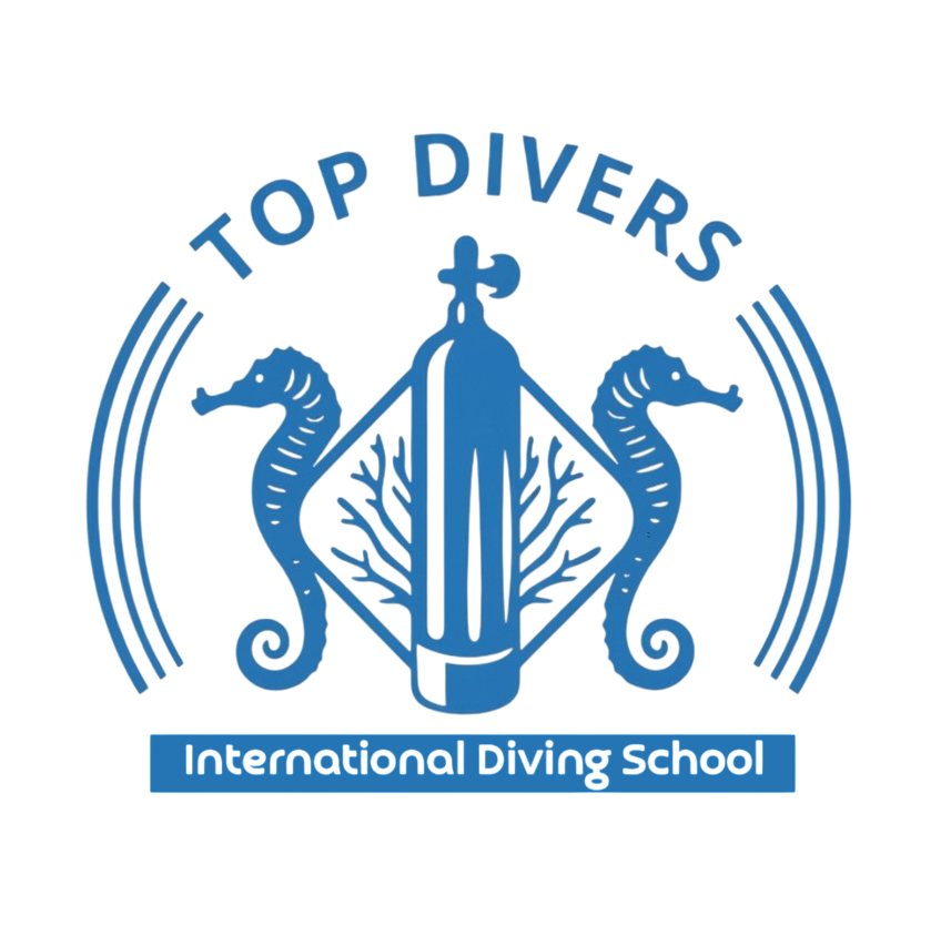 Old Logo (Top Divers)