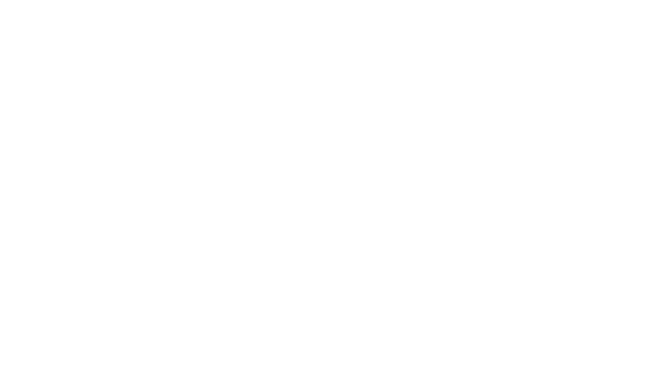 BRIVOX verified company