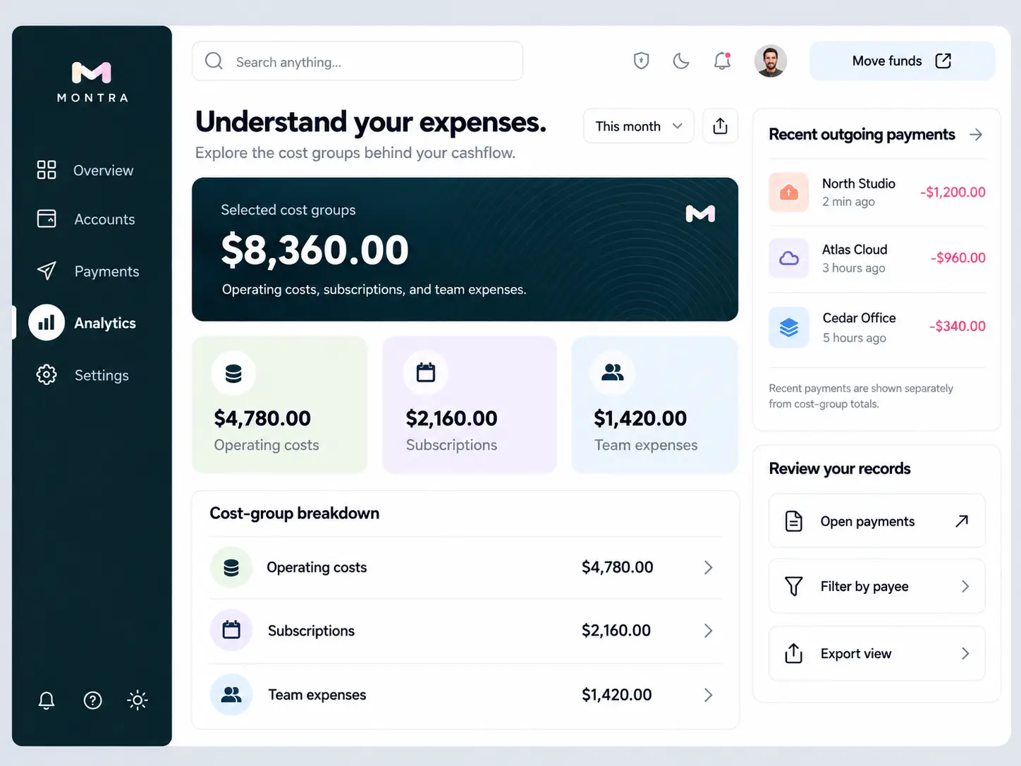 MONTRA expense analytics with cost-group totals, operating costs, subscriptions, team expenses and recent outgoing payments