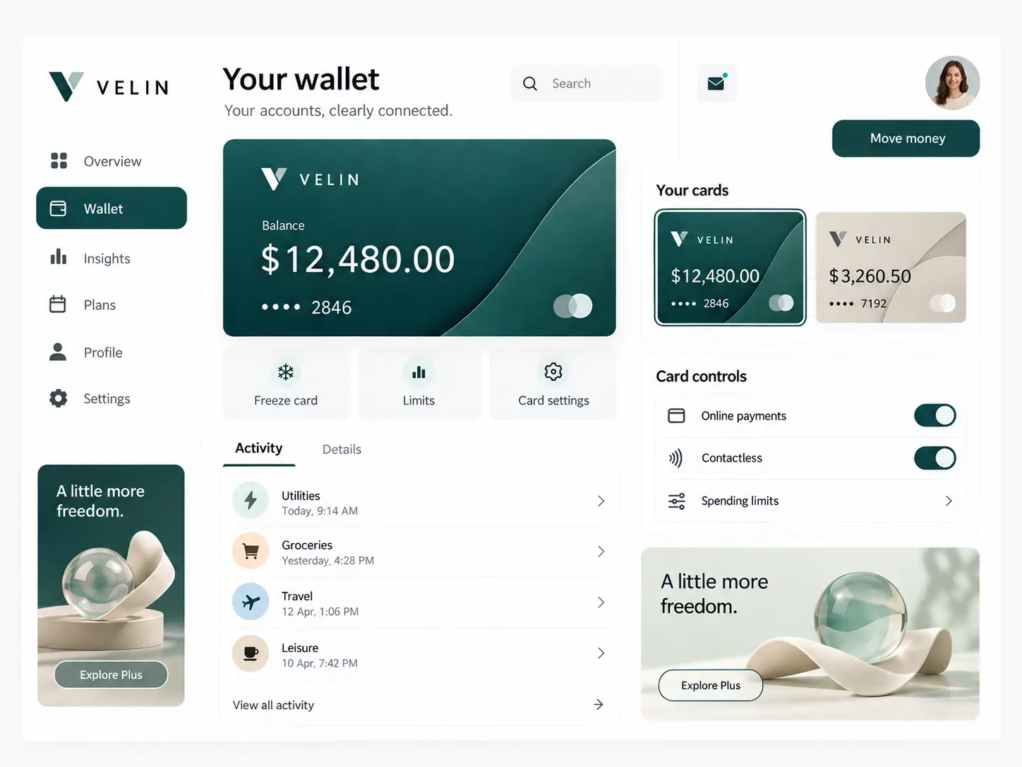 VELIN wallet with account balance, two card views, recent activity and card controls